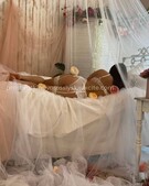 Анкета проститутки Стелла - метро Мещанский, возраст - 19